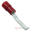 3240015 Image