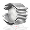 HSSLS-CALCL-010 Image