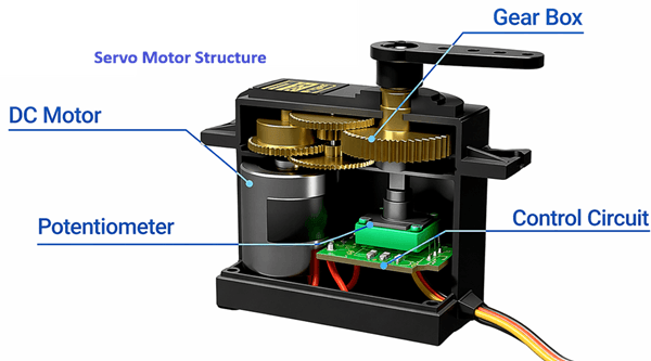 MG995 Servo Motor Structure